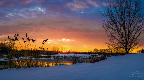 morning étan swamp sunrise sky ngc colors sun snow tree nikon d810 nationalgeographic nationalgeographique hiver neige