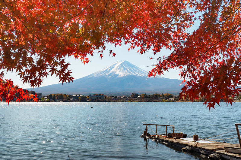 紅楓富士山｜Fujisan
