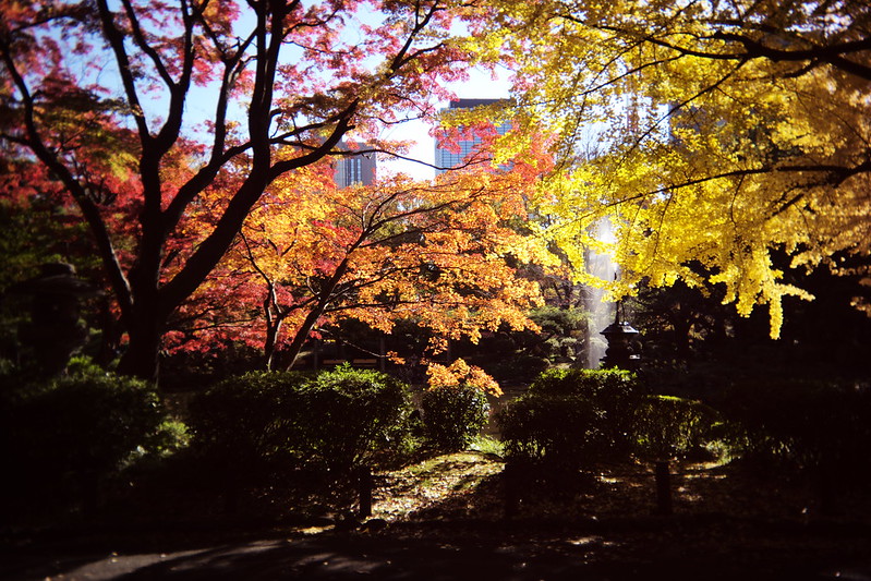 Leica M TYP240+Utulens日比谷公園の紅葉。雲形池と鶴の噴水。