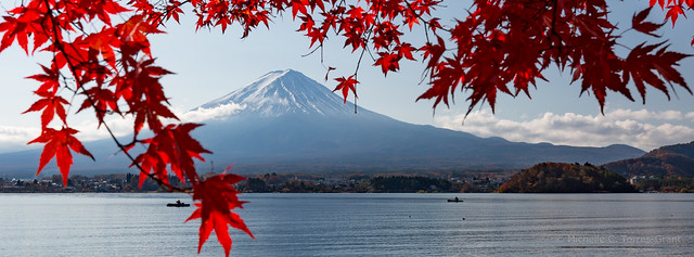 Mt. Fuji & Lake Kawaguchi, Japan