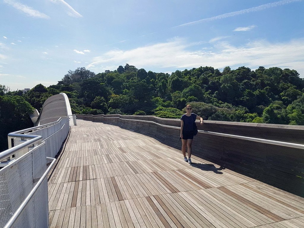 Henderson waves at the Southern Ridges