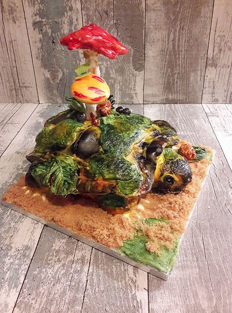 Landscape Turtle Cake by Pien Punt