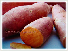 Lovely orange flesh of Ipomoea batatas (Sweet Potato, Sweet Potato Vine, Keledek in Malay), 7 Nov 2017