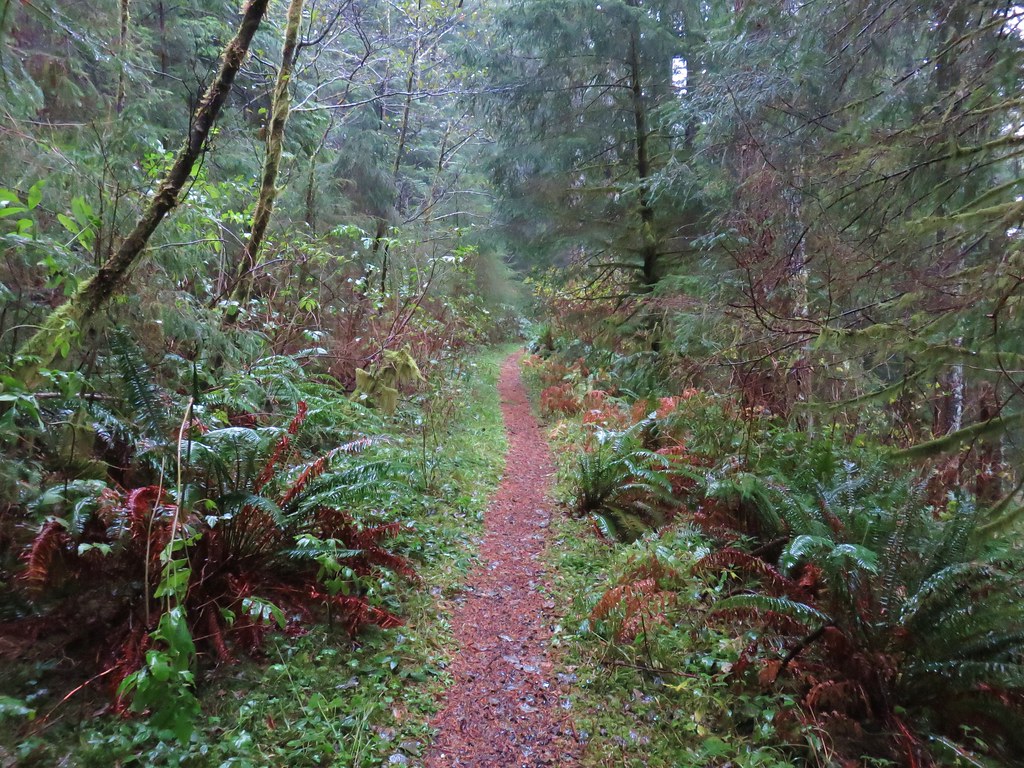 Cummins Ridge Trail