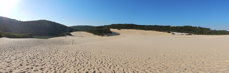 Un paraíso llamado Fraser Island - AUSTRALIA POR LIBRE: EL PAÍS DEL FIN DEL MUNDO (32)