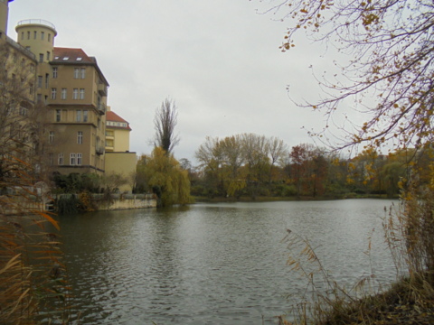 Lietzenseepark im November