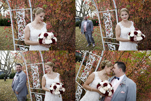 Columbia Missouri, http://www.notleyhawkins.com,/ Notley Hawkins Photography, Wedding Photography, people, quadtych, Fall, Wedding, November, 2017, Alpine Park and Garden class=