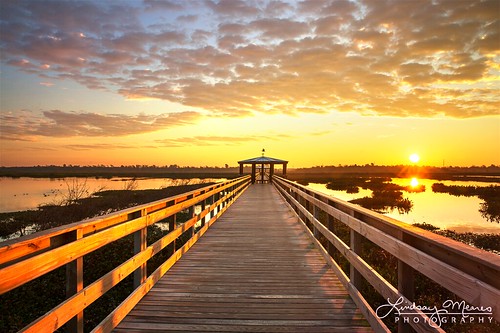 beaumont texas marsh wetlands sunrise sunset boardwalk reflection clouds glow cattail cat tail scenic