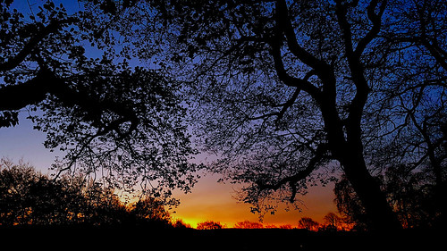 sunrise horizon autumn silhouette