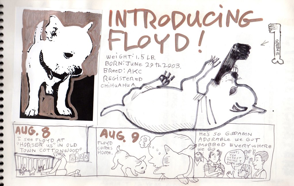 introducing floyd ! © 2003