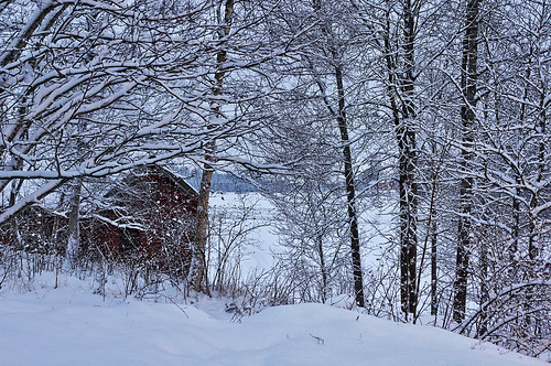 stefanorugolo pentax k5 smcpentaxda1855mmf3556alwr winter sweden countryside snow barn tree today hälsingland sverige forest wood sky landscape longexposure