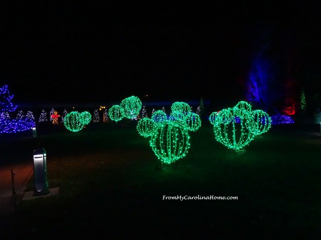 Winter Lights at the NC Arboretum ~ From My Carolina Home