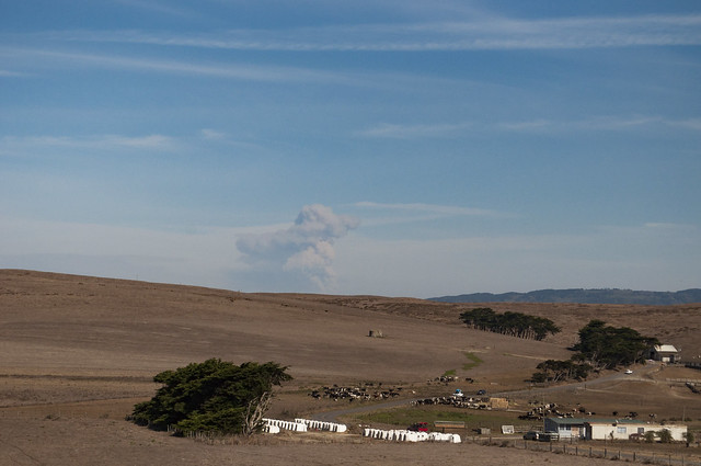 Point Reyes cloud of smoke
