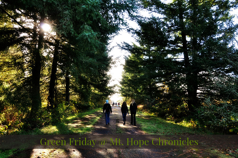 Green Friday @ Mt. Hope Chronicles