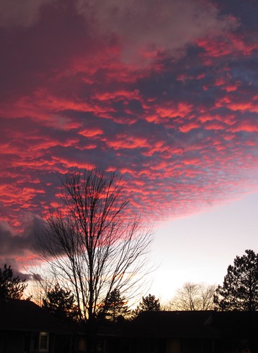 sunset december ohio red silhouette trees elph300hs img2126strt