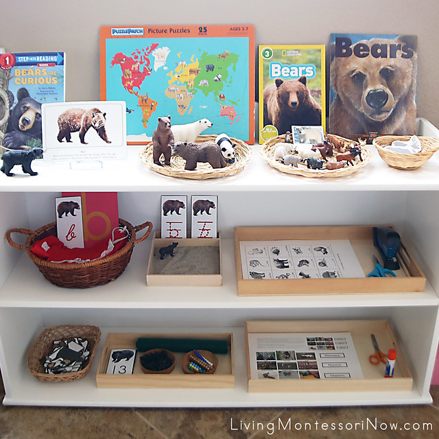 Montessori Shelves with Bear-Themed Activities