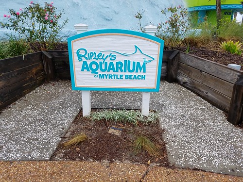 Ripley's Aquarium of Myrtle Beach Review