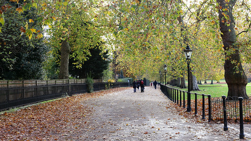 A walk in Green Park