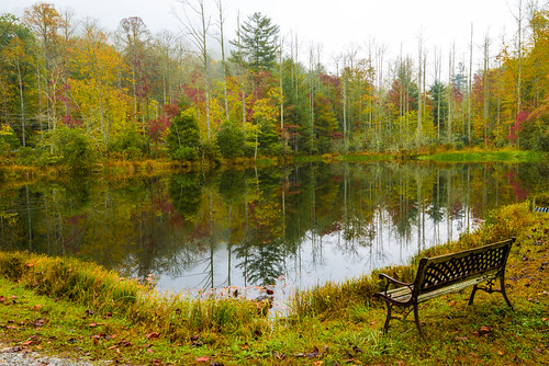 fall autumn transylvaniacounty nc northcarolina lake reflection eastatoe water
