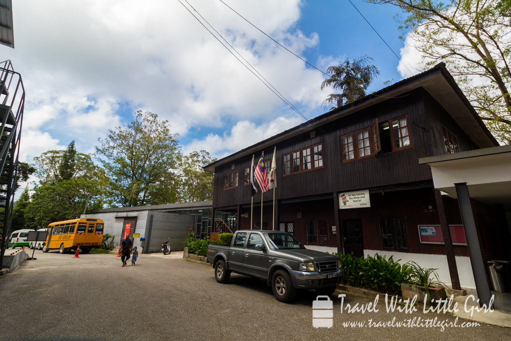 BOH tea plantation visitor center