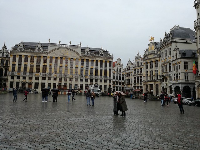 NOS VAMOS A FLANDES. Seis días visitando Bruselas, Gante y Brujas - Blogs de Belgica - COMENZAMOS POR LA GRAND PLACE (17)