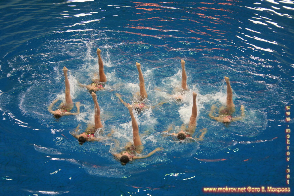 Сборная команда России по синхронному плаванию с Фотоаппаратом
