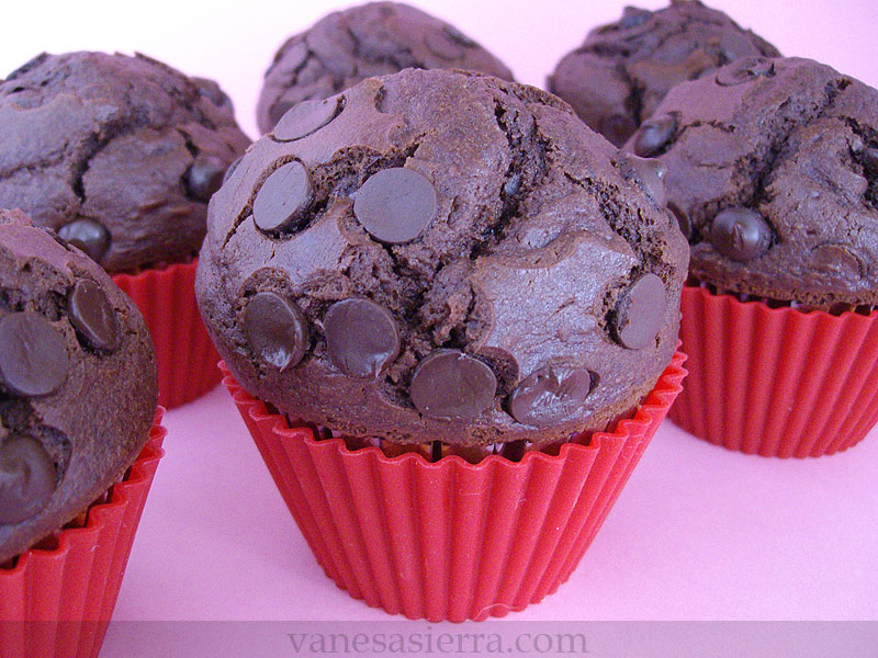 MuffinsChocolateStarbucks15