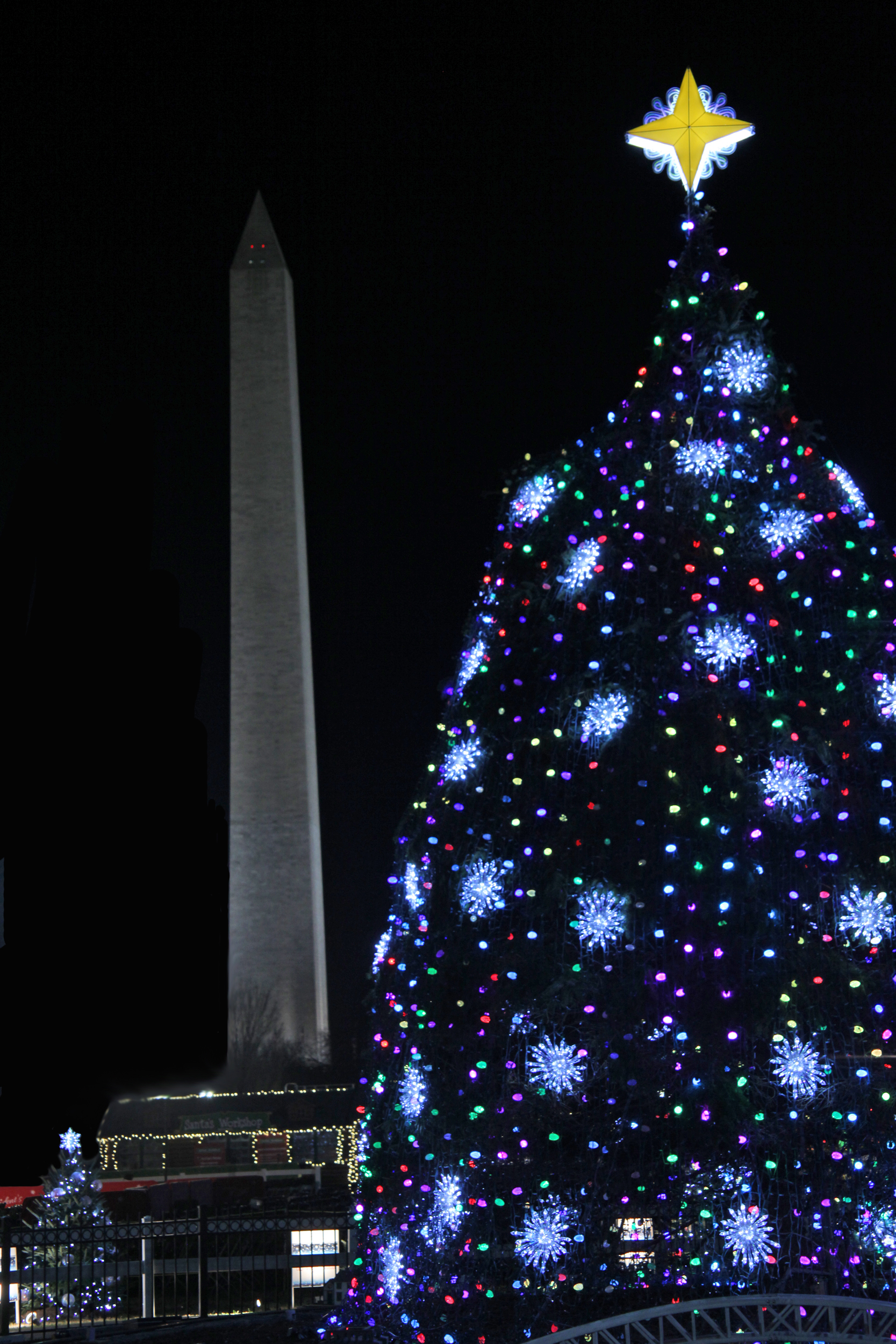 U.S. National Christmas Tree on December 1, 2011