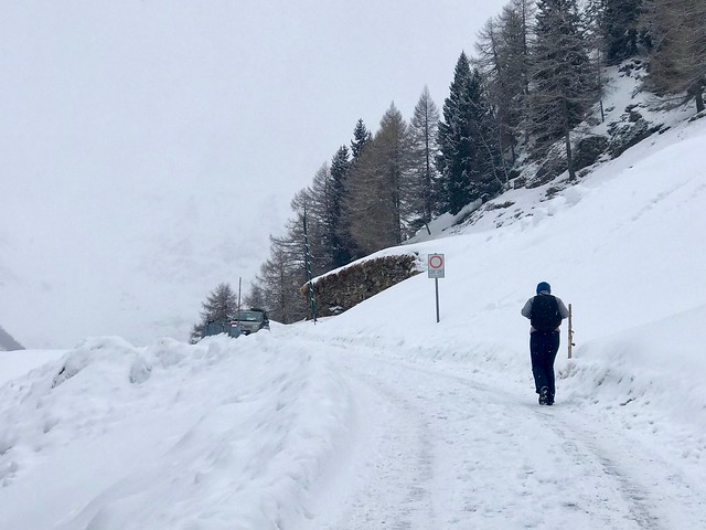 Trekking in the Snow