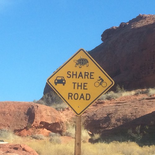 Share the road
