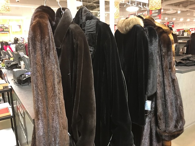 fur coats from Neiman Marcus