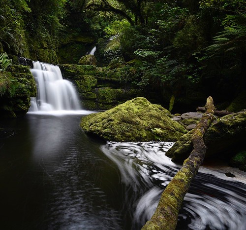 catlins bush forest landscape scene water southland newzealand 20mm d750 nikon waterfall stream peaceful