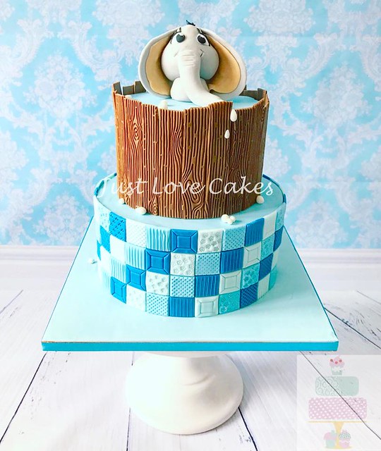 Cake by Just Love Cakes