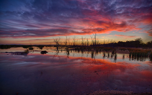 wintonwetlands wetlands water sunset clouds