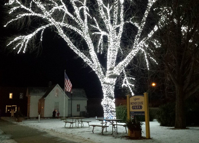 giant tree glowing with white lights, and a small white house in the background