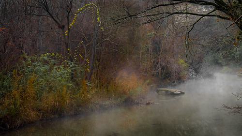 mist misty fog foggy creek stream bullcreek austin texas texashillcountry trees