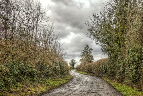 Lower Broadheath - Country Lane