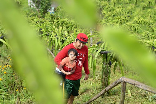 Things to do in Palaya Natural Farm