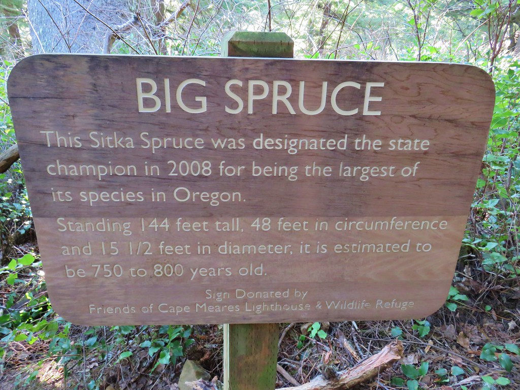 Sign for the Big Spurce