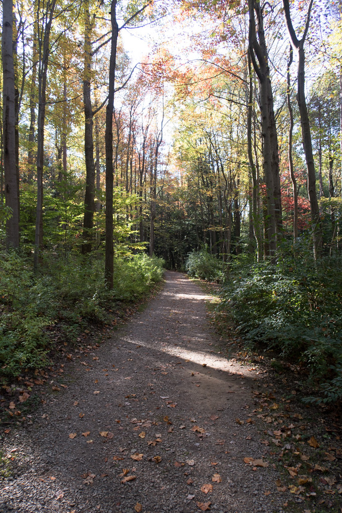 Wooded path at Kentuck Knob