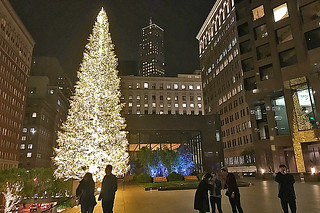 Christmas in SF - California St Tree plaza