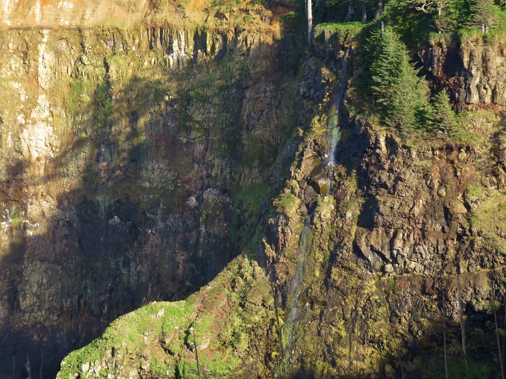 Waterfall at Cape Meares