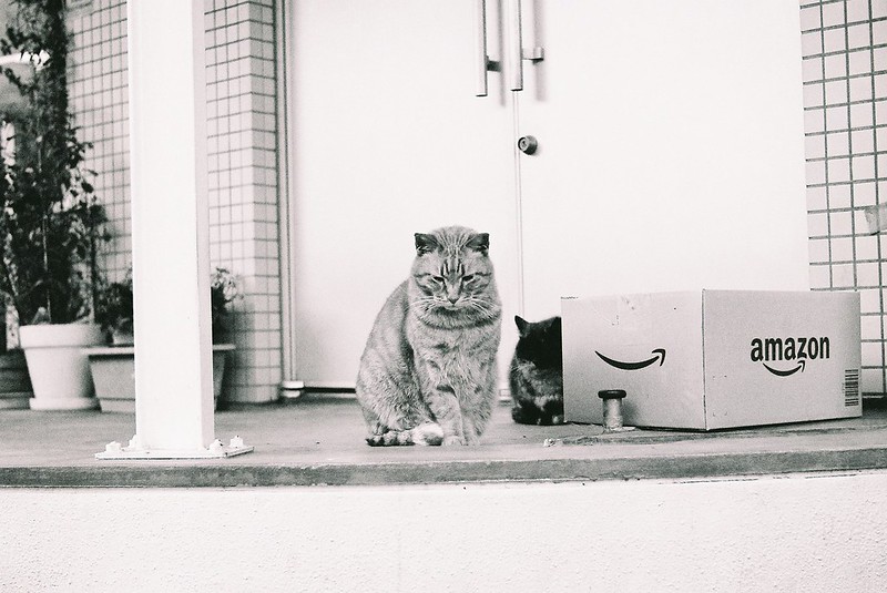KONICA HEXAR RF+Leica Elmar 50mm f2.8池袋一丁目昭文社印刷所の猫。茶虎の殿下と錆虎