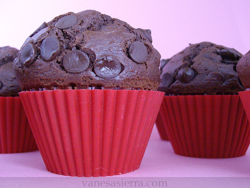 MuffinsChocolateStarbucks16
