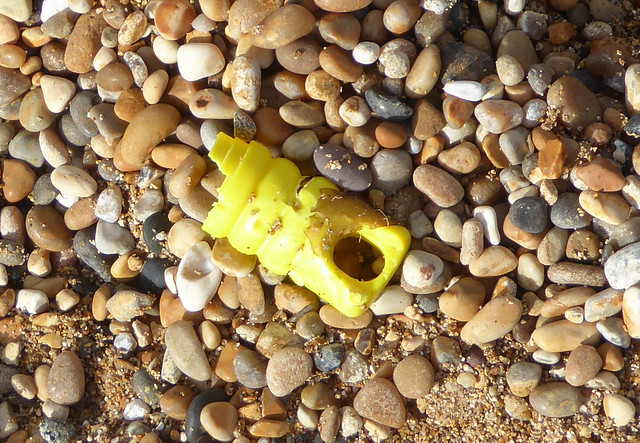 Plastic on Cogden Beach