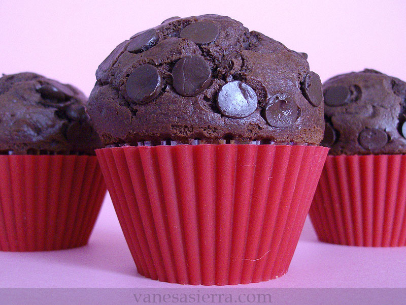 MuffinsChocolateStarbucks14