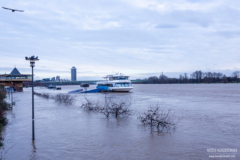 Hochwasser - Köln