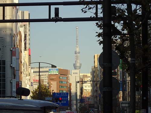 東京スカイツリーが見える