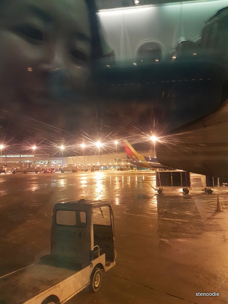  Airplane selfie