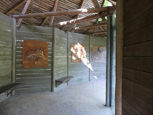 Sumatratiger, Zoo Brno
